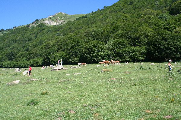 Walking and Hiking in the Pyrenees